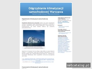 Zrzut ekranu strony www.odgrzybianie-klimatyzacji.sztukawyciszania.pl