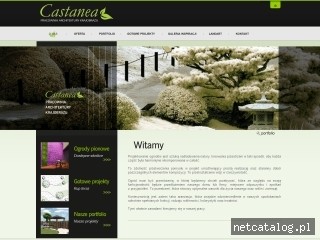 Zrzut ekranu strony www.castaneaogrody.pl