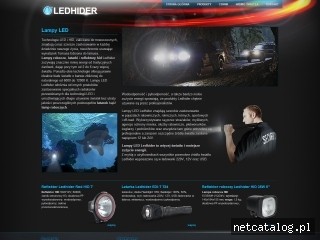 Zrzut ekranu strony www.ledhider.pl