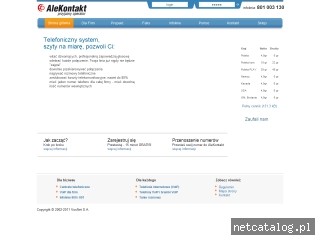 Zrzut ekranu strony www.alekontakt.pl