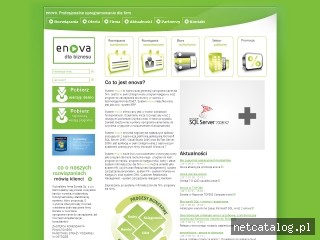 Zrzut ekranu strony www.enova.pl