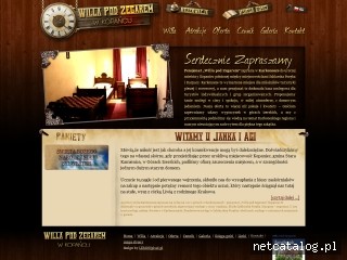 Zrzut ekranu strony www.willapodzegarem.pl